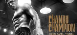 Chandu Champion (2024) Hindi AMZN HDRip x264 AAC 1080p 720p 480p ESub