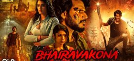 Ooru Peru Bhairavakona (2024) UNCUT Dual Audio Hindi ORG AMZN HDRip x264 AAC 1080p 720p 480p ESub