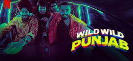 Wild Wild Punjab (2024) Hindi NF HDRip x264 AAC 1080p 720p 480p ESub