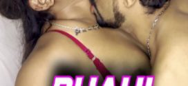 Bhahi Night 2024 Hindi Uncut Short Films 720p HDRip Download