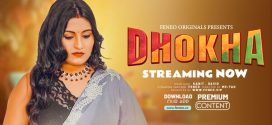 Dhokha (2024) S01E02 Uncut Feneo Originals Web Series 720p HDRip x264 AAC 250MB Download