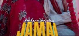 Jamai Babu 2024 Hindi Season 01 Part 02 ChillX WEB Series 720p HDRip Download