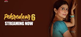 Pehredaar (2024) S06E01T03 BigPlay Hindi Web Series HDRip x264 AAC 1080p 720p Download