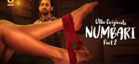 Numbari Part-1 (2024) S01 Ullu Hindi Originals Web Series HDRip x264 AAC 1080p 720p Download