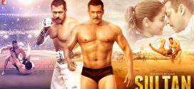 Sultan (2016) Hindi BluRay x264 AAC 1080p 720p 480p ESub