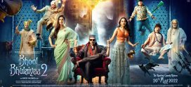 Bhool Bhulaiyaa 2 (2022) Hindi NF HDRip x264 AAC 1080p 720p 480p ESub