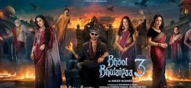 Bhool Bhulaiyaa 3 (2024) Hindi HDTS-Rip x264 AAC 1080p 720p 480p Dwonload