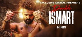 Double iSmart (2024) UNCUT Dual Audio Hindi ORG HDRip x264 AAC 1080p 720p 480p ESub