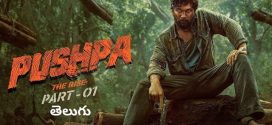 Pushpa The Rise Part 1 (2021) UNCUT Dual Audio Hindi ORG BluRay x264 AAC 1080p 720p 480p ESub