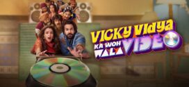 Vicky Vidya ka Woh Wala Video (2024) Hindi NF HDRip x264 AAC 1080p 720p 480p ESub